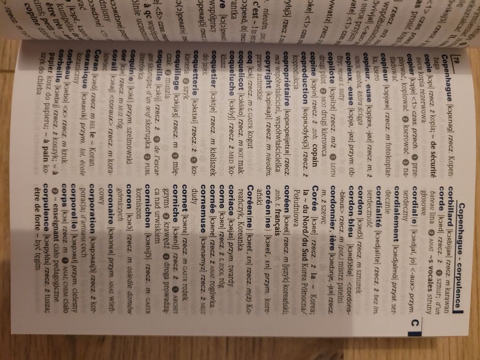Słownik szkolny francusko-polski polsko-francuski