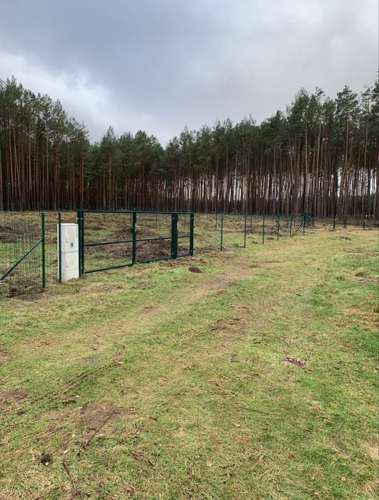 Działka w Sierakowie (las/jezioro)