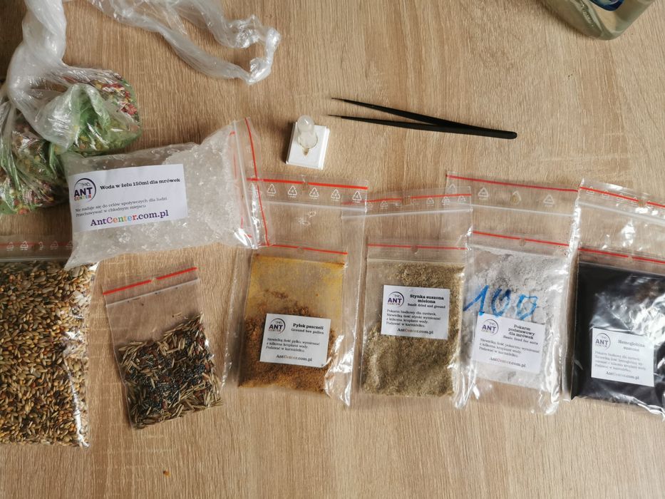 Formikarium King Cork Zestaw