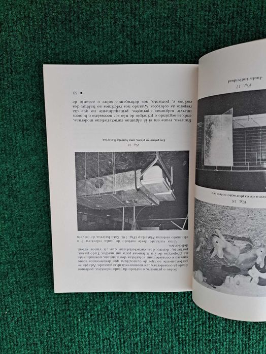 Cunicultura - Aspetos práticos da criação racional de coelhos