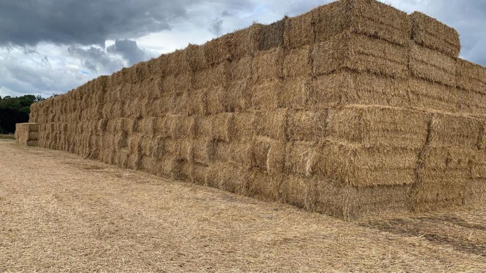 Słoma duża kostka duże kostki słomy pszenica jęczmień