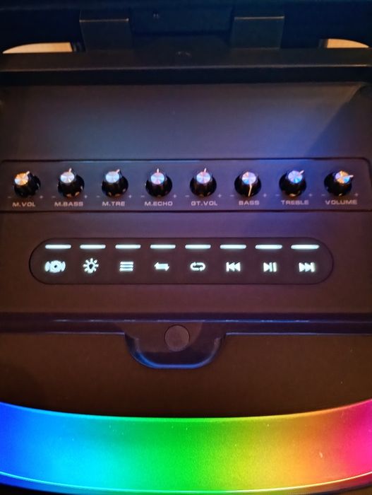 Блютуз караоке акустика Temeisheng-10(SD,USB,FM) пультДУ, 2микрофона