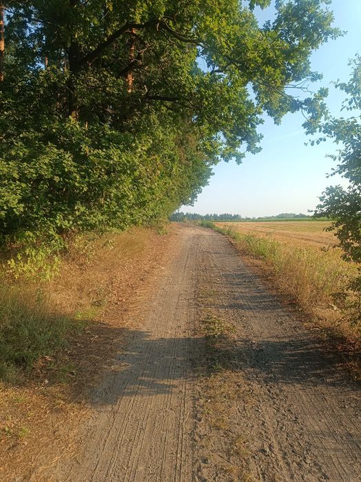 Działka budowlana - Widok 2