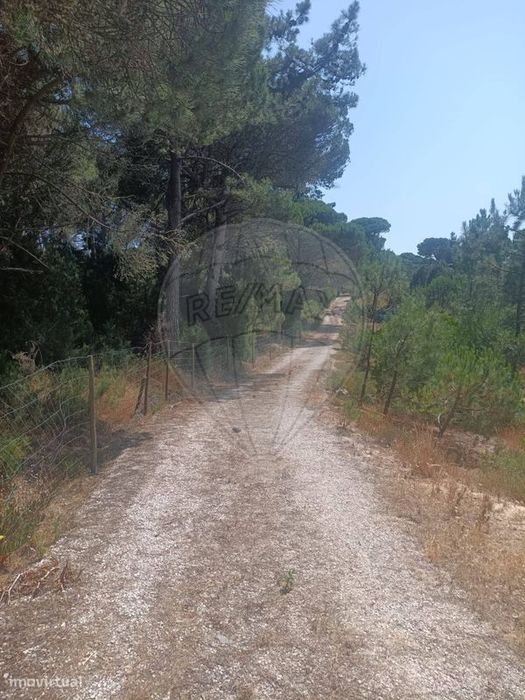 Terreno  para venda