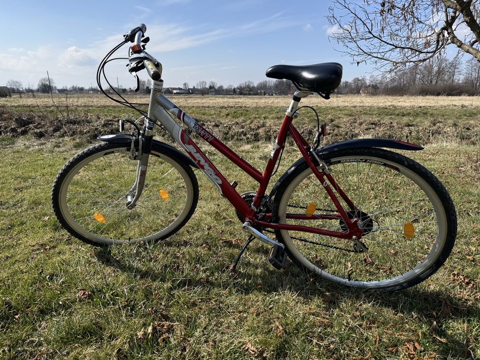 Rower trekkingowy, miejski