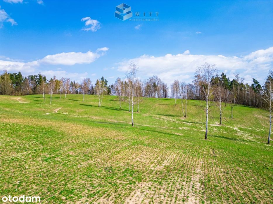 Dąbrówno|Działki z widokiem na jezioro| Nowa Cena