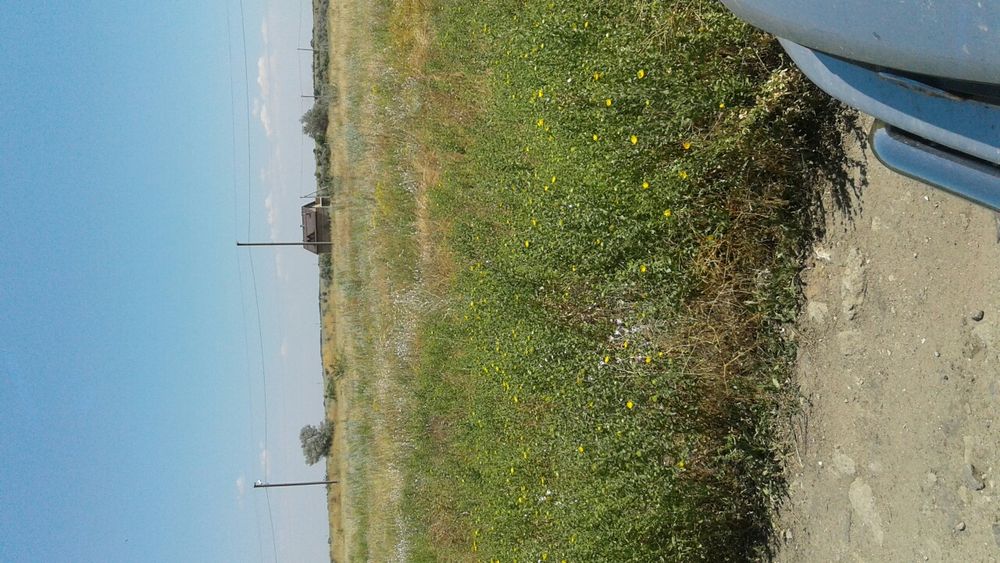 Продам земельный участок за Эпицентром.ОБМЕН.