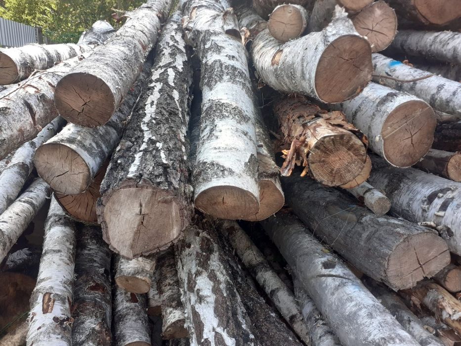 Drewno opałowe brzoza