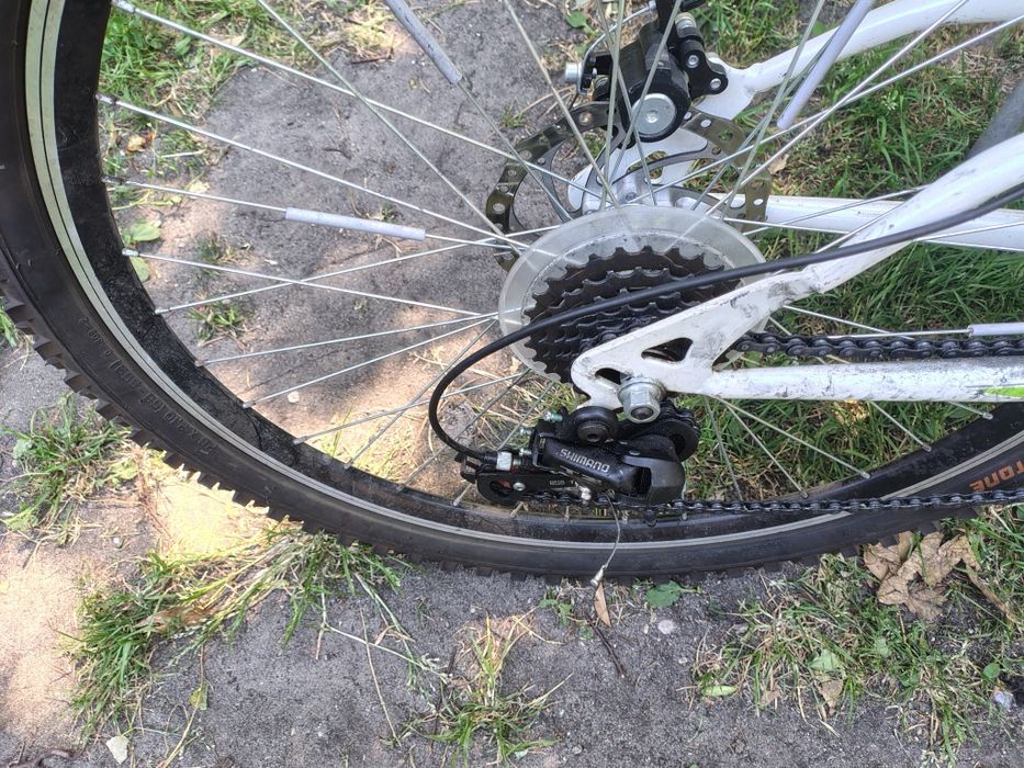 Rower Forester Raptor