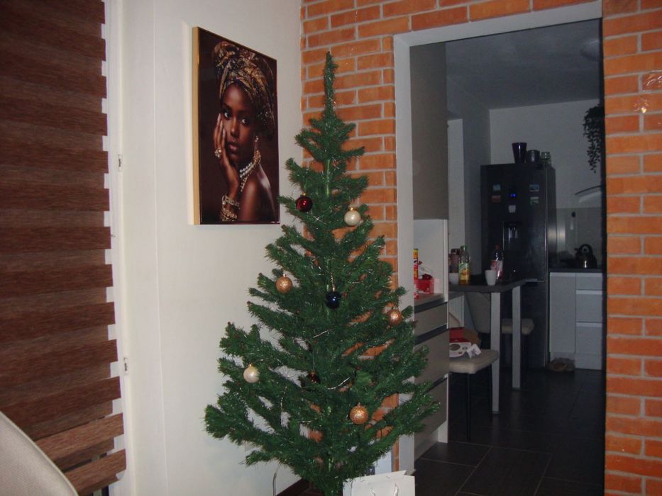 Aparat cyfrowy Sony Cyber-shot DSC-W220