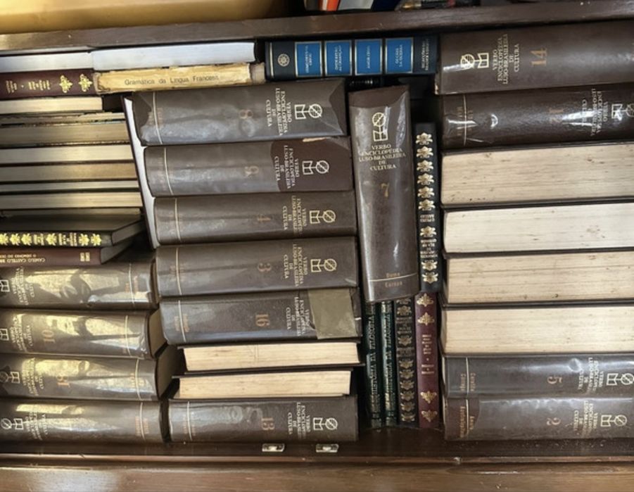 Lote de livros e enxixlopedias