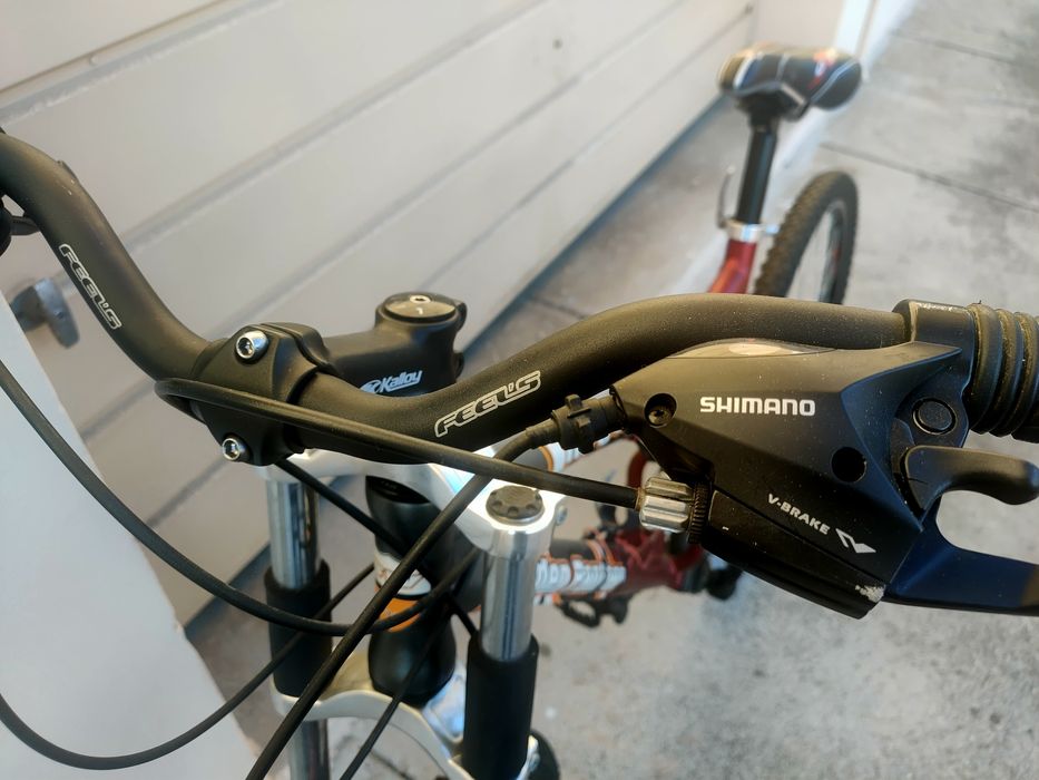 Bicicleta GoldenPanther