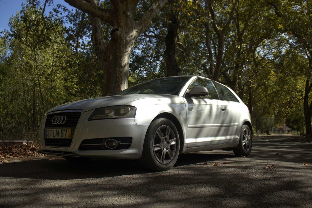 AUDI A3 Hatchback (8P1) 1.6 TDI 105 cv