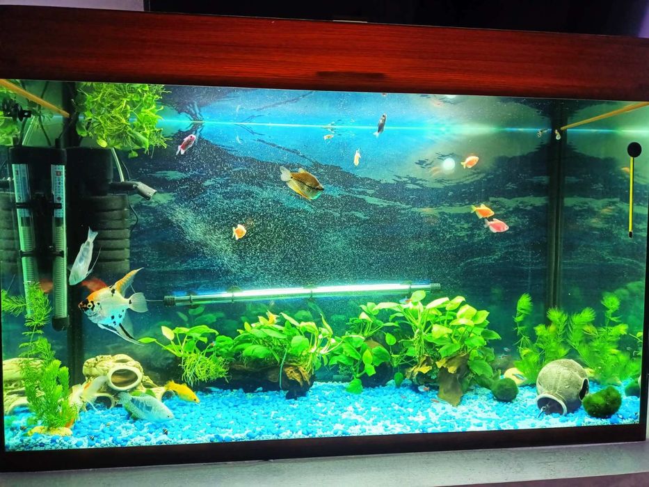 Продам акваріум на 240л.