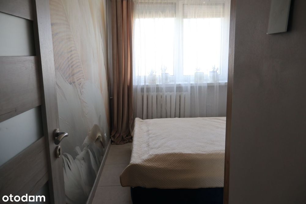 2- pokojowe mieszkanie z balkonem w Starym Sosnowcu