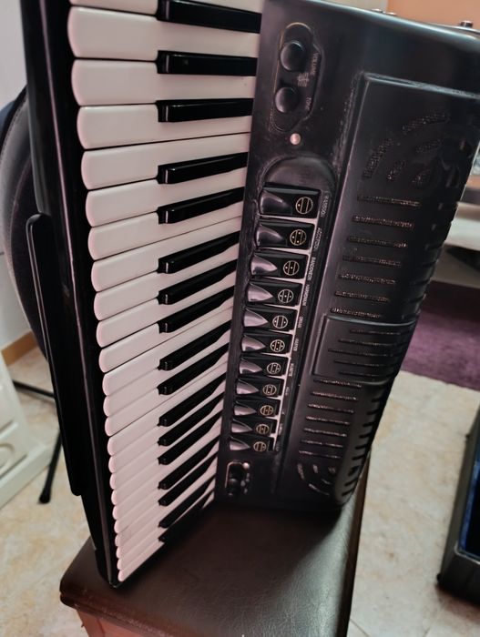 120-Bass Accordion, 4/5 Voices64284611697794121