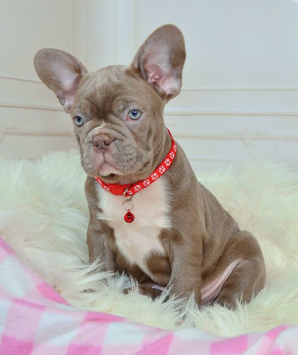 !Фантастичні малюки у пошуках люблячих родин!