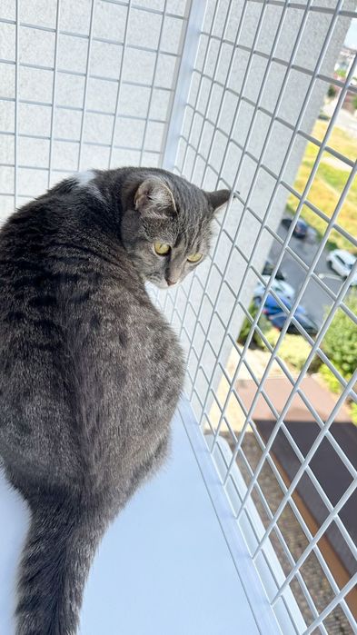 Затишний прямокутний балкончик на одну стулку з 1 поверхом