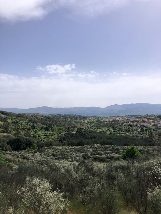 Arrenda-se Quinta Exclusiva 25ha | 1km margem de Rio Mondego