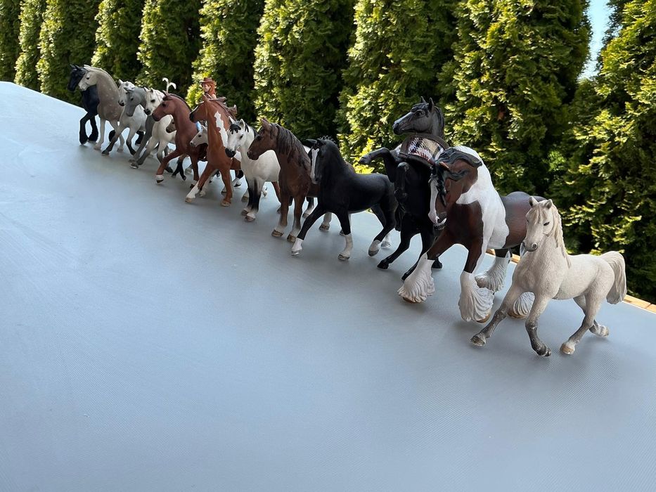 Zestaw Schleich.