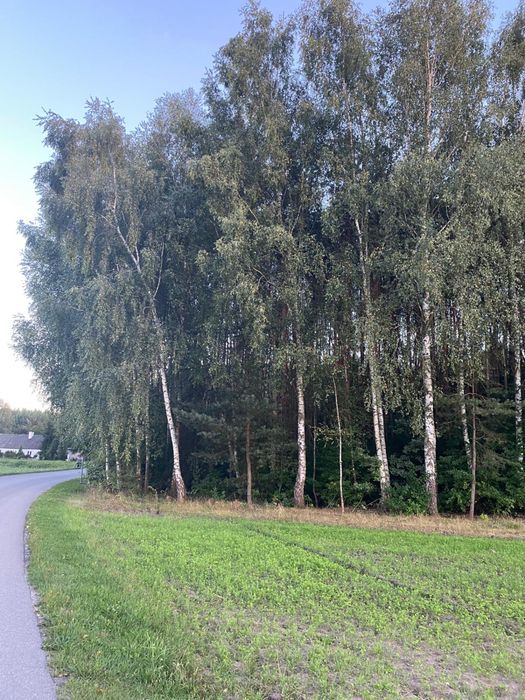 Sprzedam działke