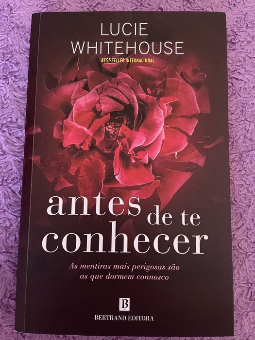 Antes de te conhecer - livro