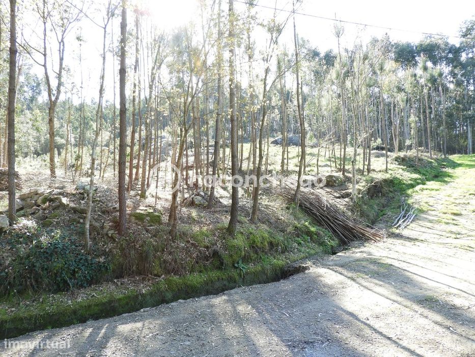Terreno Rústico com 3051m2 Quintiães - Barcelos — Quintiães E Aguiar, Braga