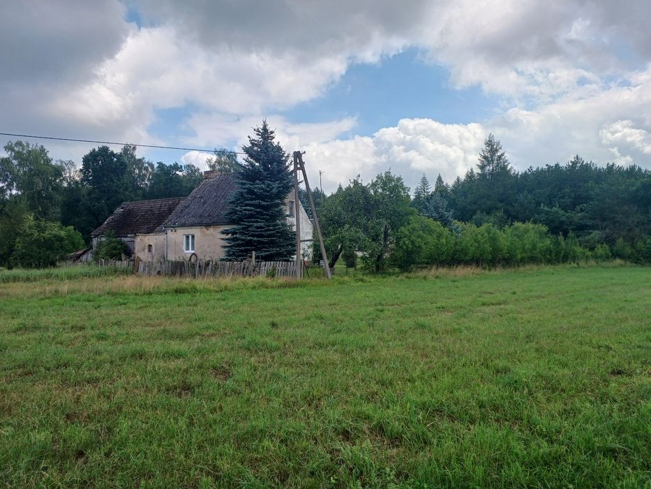 Dom w lesie, siedlisko ,dzialka