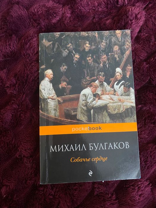 М. Булгаков. Собачье сердце