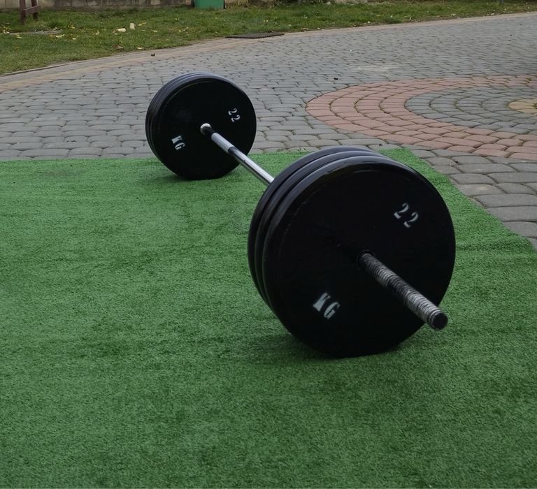 Ogumowane talerze na silownie domowa silownia