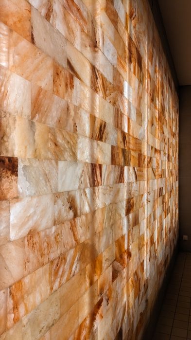 Apartament z basenem i SPA Lis i Las w Ślężańskim Parku Krajobrazowym