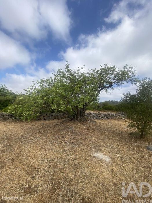Terreno em Santa Catarina da Fonte do Bispo de 10000,00 m2
