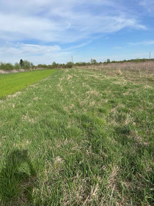 Продаж земельної ділянки в с.Суховоля