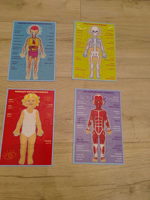 puzzle edukacyjne moje cialo
