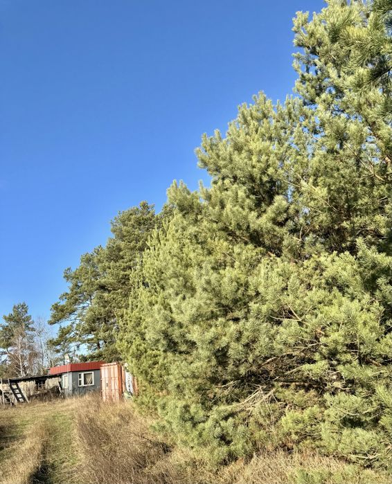 Земельна ділянка 8 Га! Ясногородка!