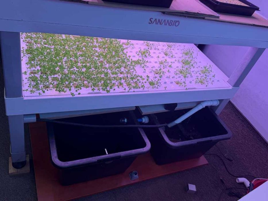 Szafa hydroponiczna do upraw wertykalnych SANANBIO RADIX Vertical Hydroponic Module 4-warstwowa led farm
