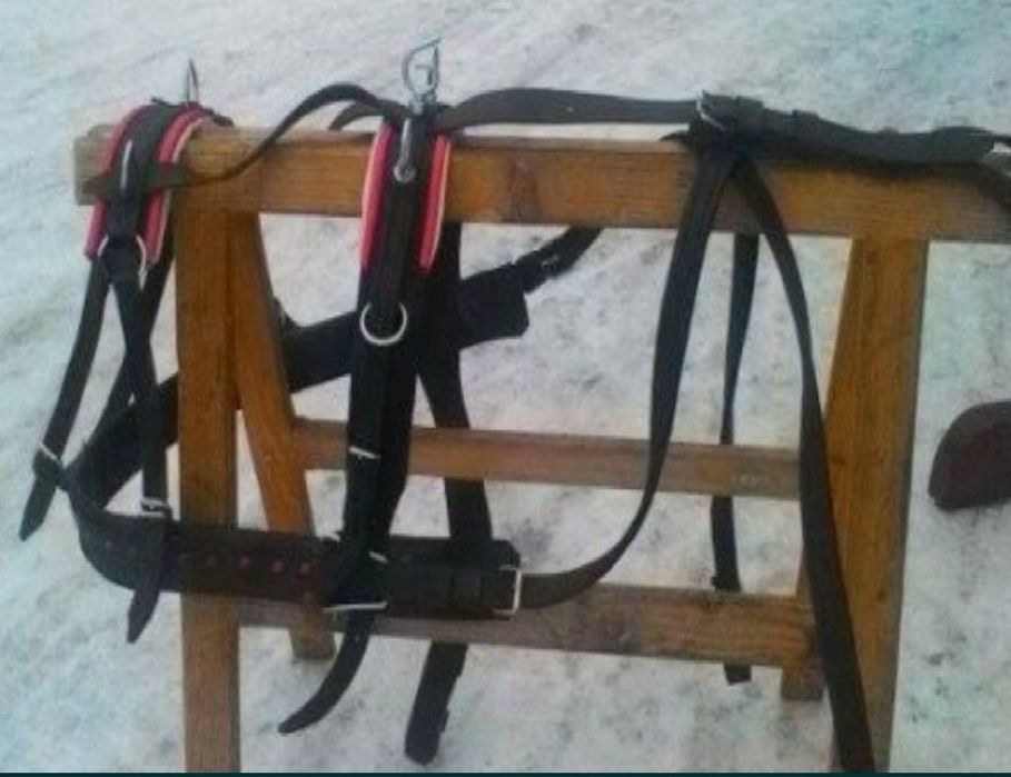Kantary uprząż na konie zimnokrwiste