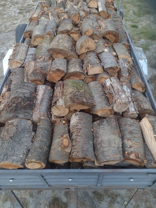 Drzewo, drewno opałowe kominkowe