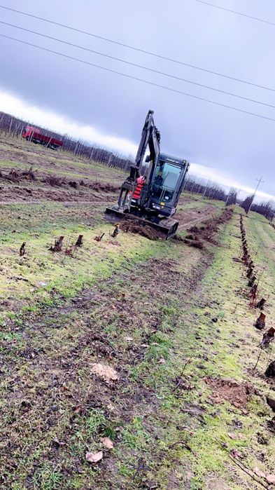 Usługi minikoparka 5ton