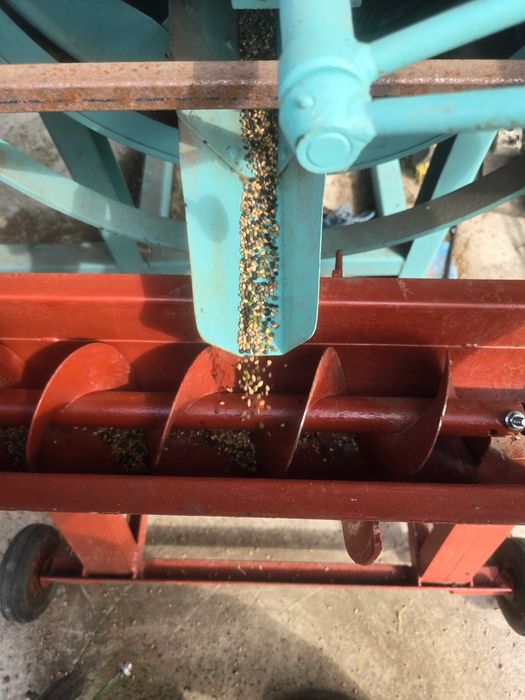 czyszczenie zboża nasion