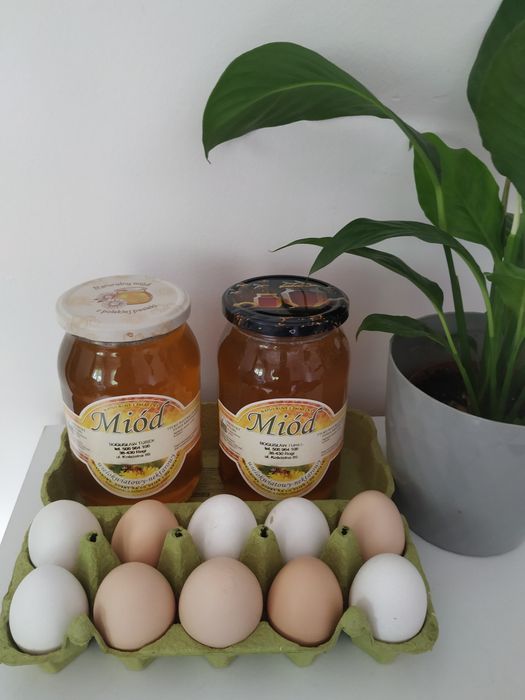Miód naturalny wiosenny spadziowy