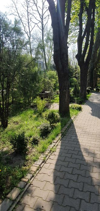 Продам коттедж   на Даче Ковалевского  ЛД