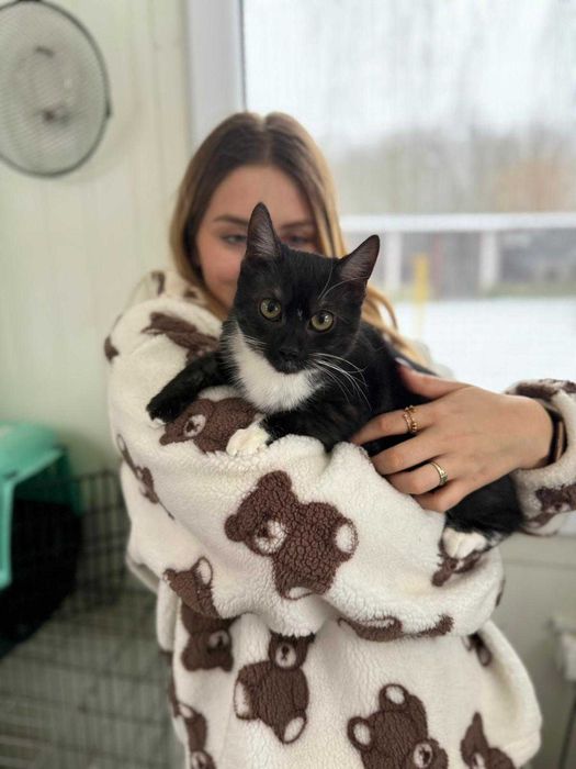 Młodziutka Lolli szuka domu