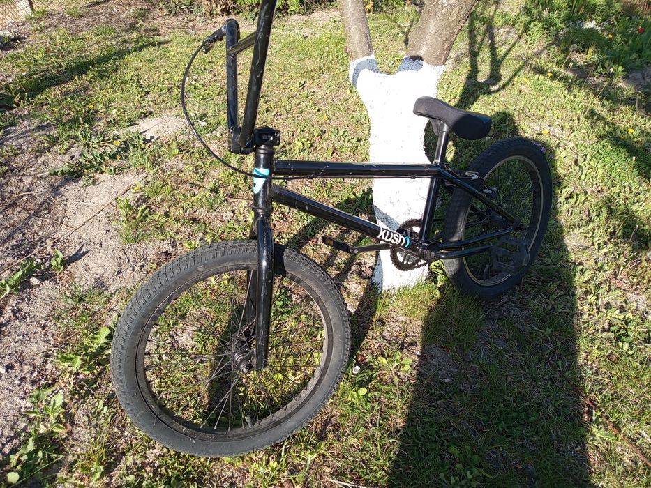 Rower BMX KUSH 1