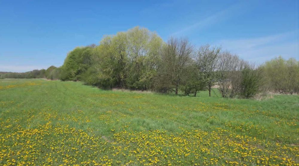 Działka rekreacyjna nad jeziorem Wąsosz - Widok 2