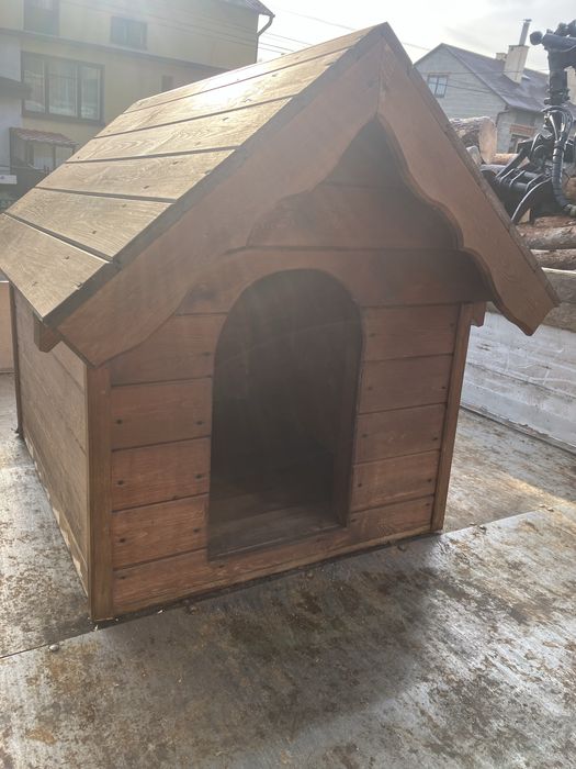 Buda dla dużego psa