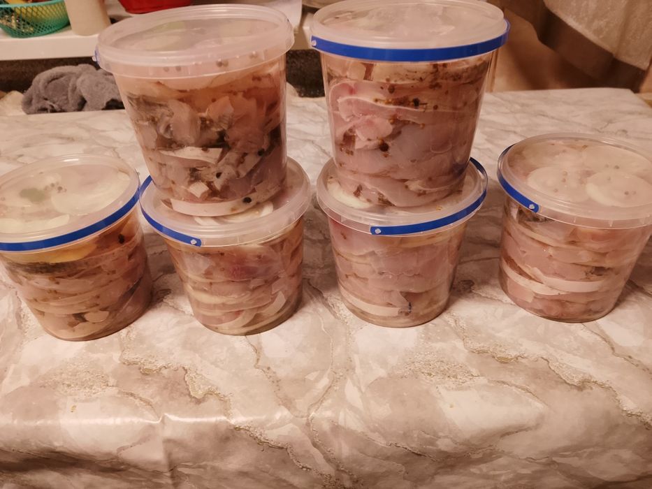 Оселедець з толстолоба домашній...