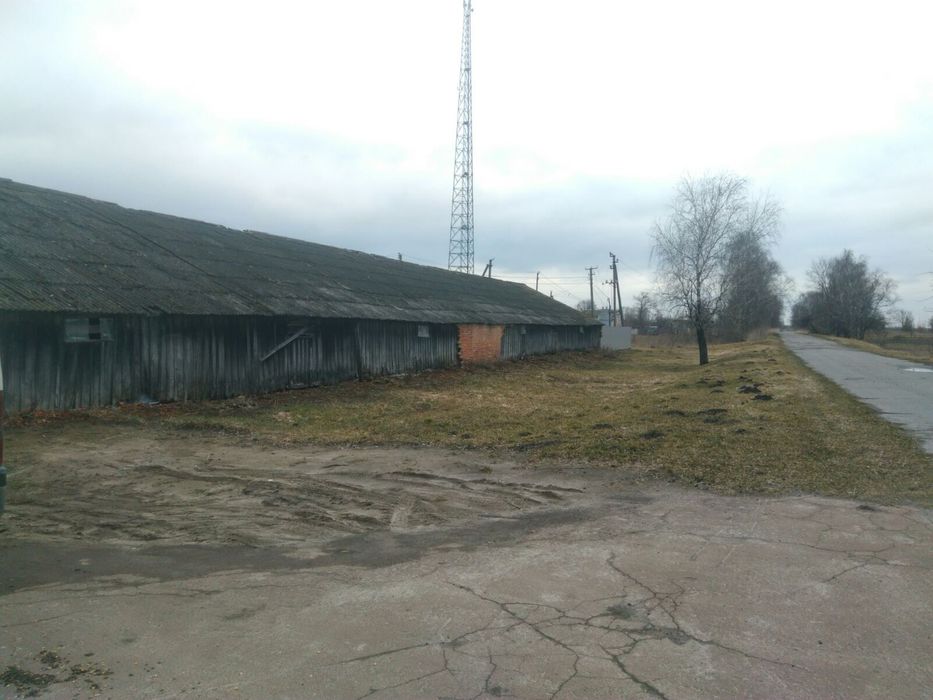 Продам промислову територію ( зерно тік)