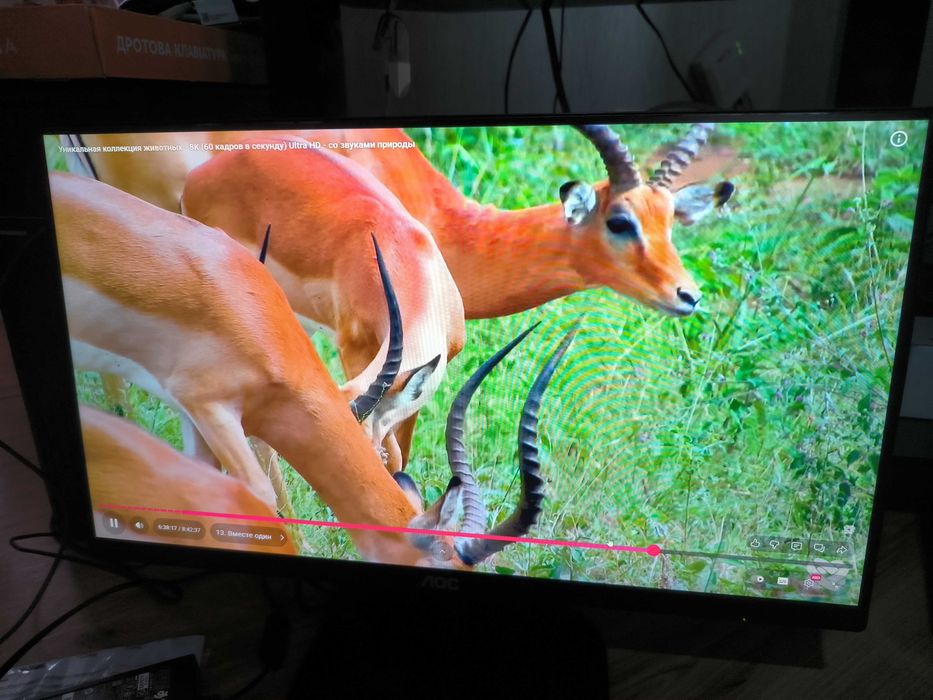 Монитор AOC 22 , vga hdmi звук, безрамочный