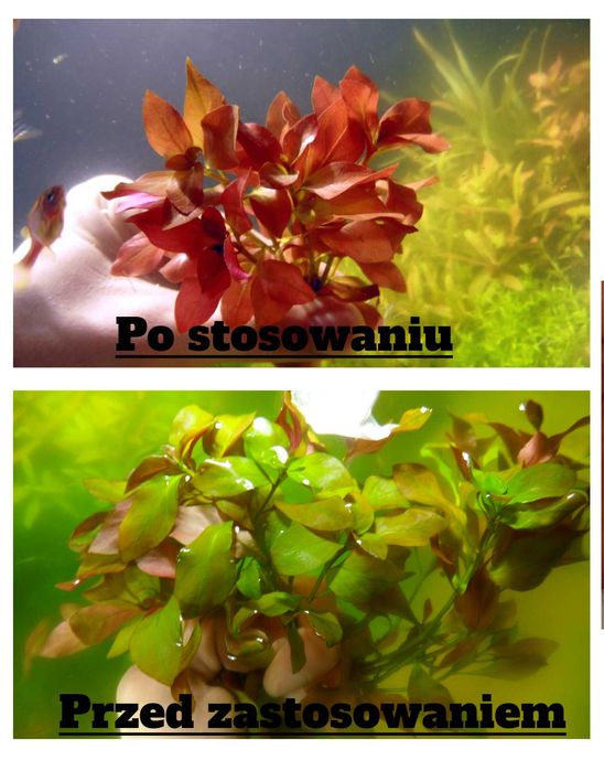 zestaw dla p rafała